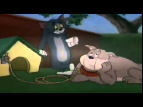 Tom and jerry all episodes torrent download 2017